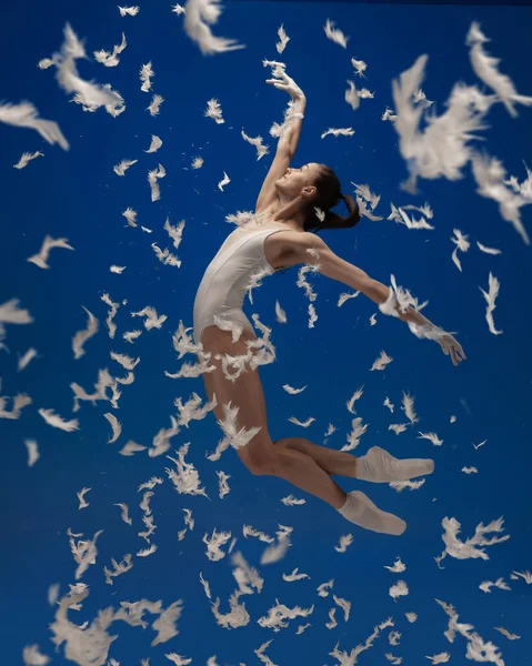 Gracieuse jeune belle fille, danseuse de ballet féminin volant isolé sur fond bleu avec des plumes blanches. — Photo