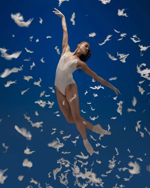 Gracieuse jeune belle fille, danseuse de ballet féminin volant isolé sur fond bleu avec des plumes blanches. — Photo