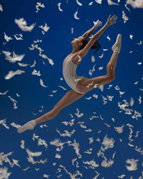 Montez comme un oiseau. Une jeune danseuse de ballet volant isolée sur fond bleu avec des plumes blanches. — Photo