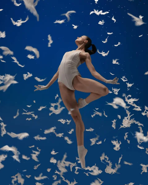 Zweef als een vogel. Een jonge vrouwelijke ballet danser vliegen geïsoleerd over blauwe achtergrond met witte veren. — Stockfoto