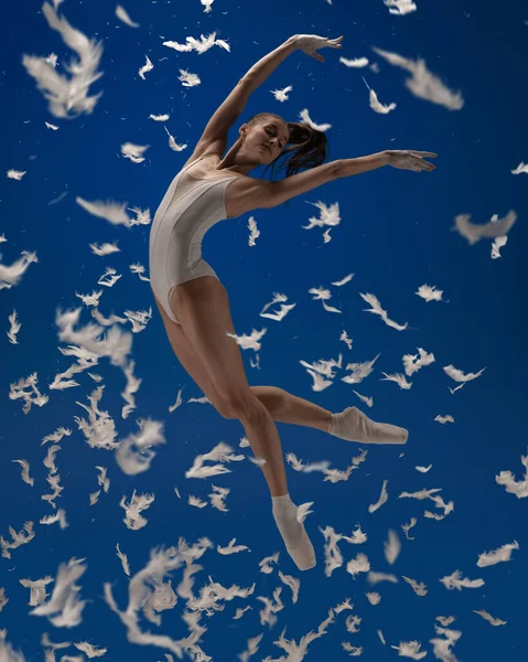 Szárnyalj, mint egy madár. Egy fiatal női balett táncos repül elszigetelt kék háttér fehér tollak. — Stock Fotó