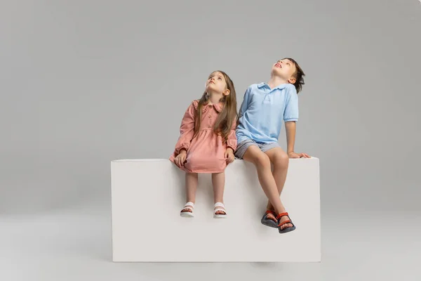 Två barn, bror och syster sitter på lådan isolerad över grå studio bakgrund. — Stockfoto