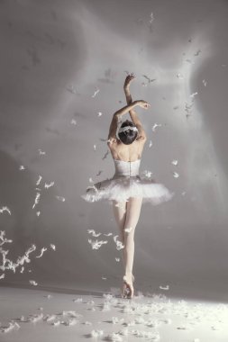 Beyaz arka planda izole edilmiş sanat performansında beyaz kuğu görüntüsünde genç zarif balerina..