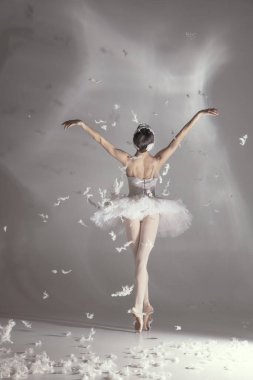 Beyaz arka planda izole edilmiş sanat performansında beyaz kuğu görüntüsünde genç zarif balerina..