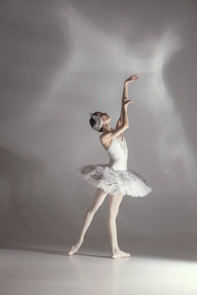 Jovem graciosa balerina na imagem de cisne branco no desempenho de arte isolado no fundo branco cinza. — Fotografia de Stock