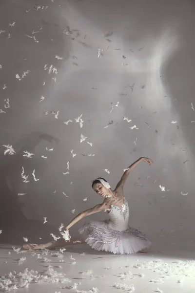 Jeune balerina gracieuse à l'image du cygne blanc dans la performance de l'art isolé sur fond blanc gris. — Photo