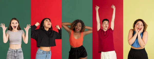 Group of people, young women and man posing isolated over multicolored background. — Stock Photo, Image