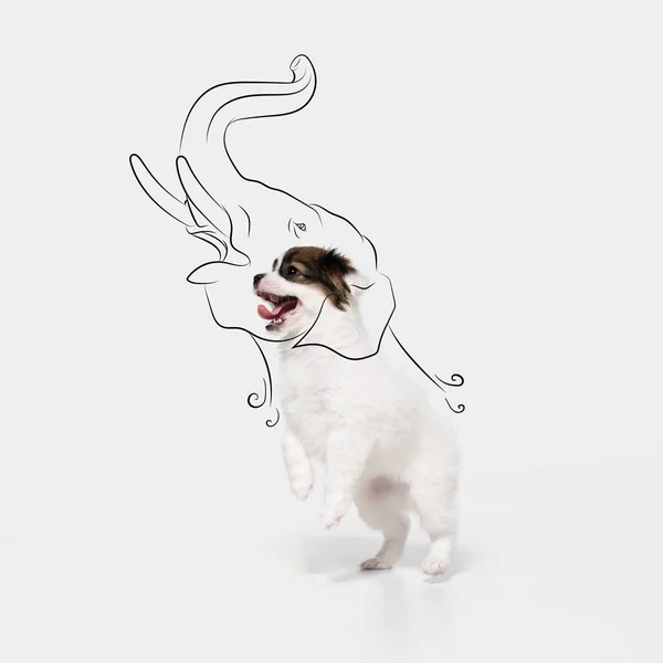 白い背景の上に隔離された動きのかわいいふわふわ子犬の肖像画。想像力夢. — ストック写真
