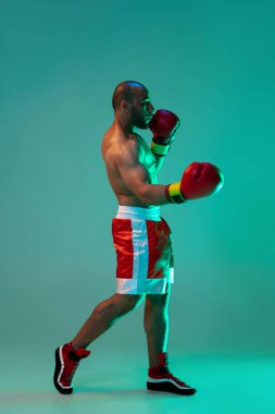 Profesyonel erkek boksör eğitiminin dikey portresi, neon ışıklı mavi arka planda izole edilmiş..