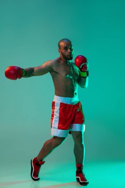 Profesyonel erkek boksör eğitiminin dikey portresi, neon ışıklı mavi arka planda izole edilmiş..