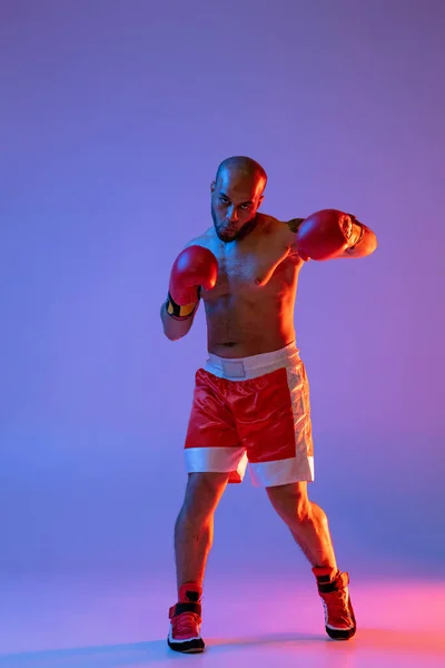 Full längd porträtt av en professionell manlig boxare utbildning, tränar över lila bakgrund i neonljus. Framifrån — Stockfoto