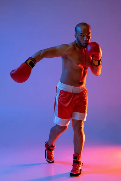 Verticaal beeld van een professionele bokser in rode shorts training, het uitoefenen van geïsoleerde over paarse achtergrond in neon licht. — Stockfoto