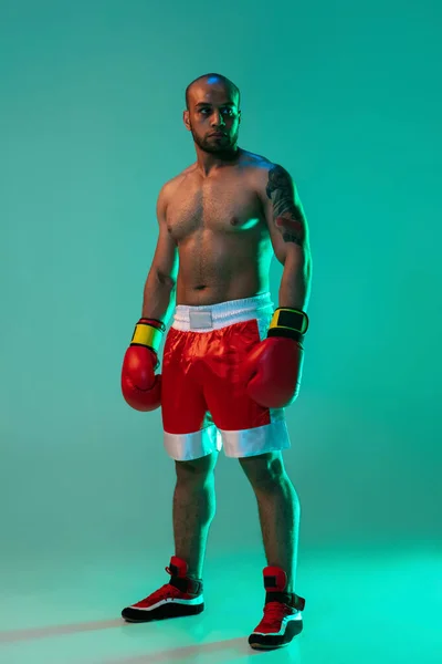 Vertikalt porträtt av en professionell manlig boxare stående isolerad över blå grön bakgrund i neonljus. — Stockfoto