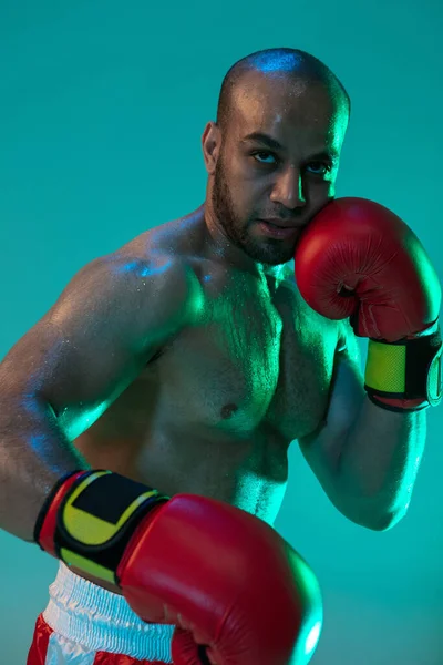 Sert yumruklar. Kırmızı eldiven eğitimi almış bir profesyonel boksör mavi yeşil arka planda, neon ışıkta izole edilmiş. Yakın plan.