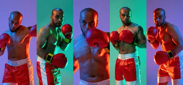 Sportkollage. Ung professionell manlig boxare isolerad över färgade neon bakgrunder. Flygblad. — Stockfoto