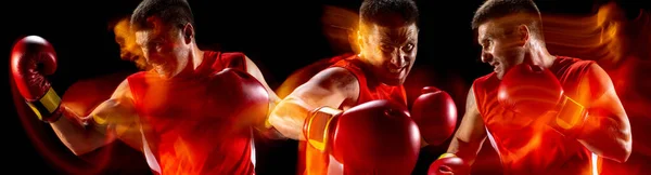 Sport kollázs. Profi férfi bokszoló akcióban, fekete alapon izolált mozgás vegyes neonfényben. Szórólap — Stock Fotó