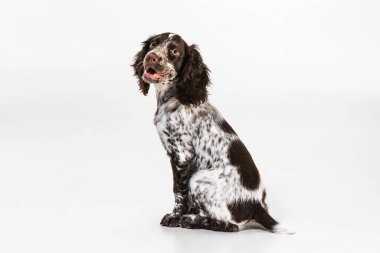 Beyaz stüdyo arka planında sakince oturuyor ve gülümsüyor.