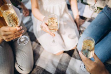 Piknik yapan, kadeh tokuşturan, parti havasında insanların kırpılmış görüntüleri.