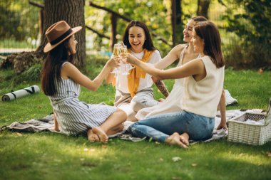 Çimenlerde oturup piknik yapan dört güzel genç kız.