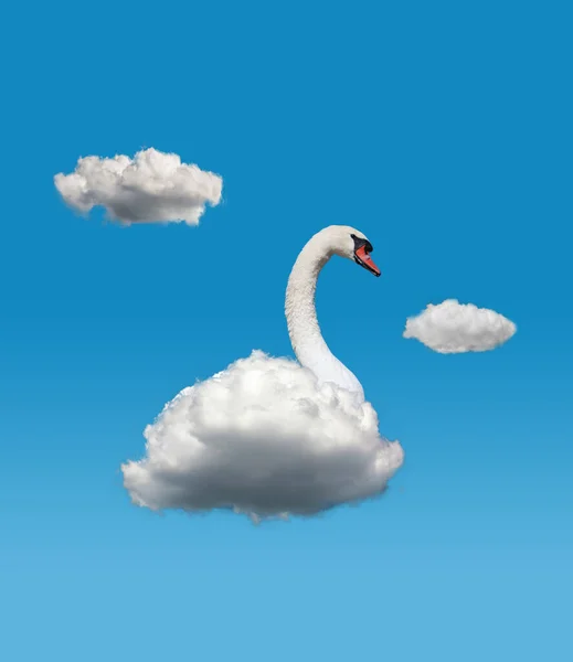 Collage d'arte contemporanea di bianco bellissimo cigno con soffice nuvola invece corpo isolato su sfondo cielo blu — Foto Stock