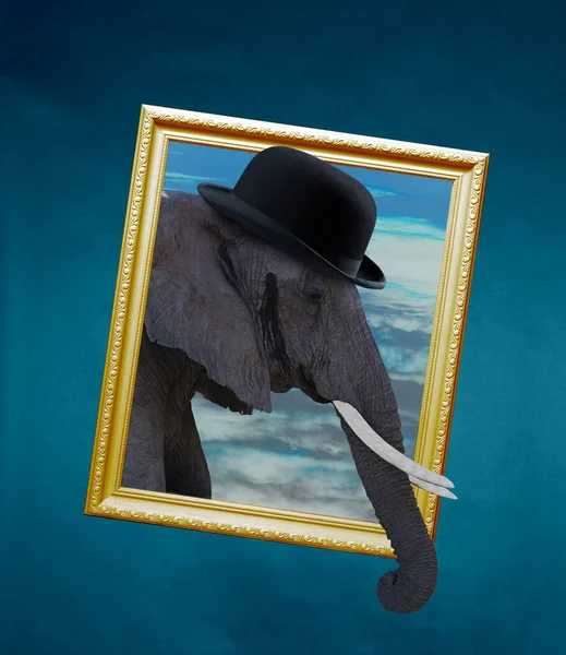 Современный художественный коллаж головы слона в черной шляпе, появляющийся из рамки изображения на синем фоне — стоковое фото