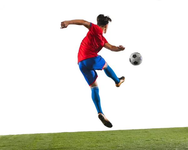 Portrait horizontal complet d'un footballeur masculin frappant un ballon sur fond blanc de gazon. Vue arrière — Photo