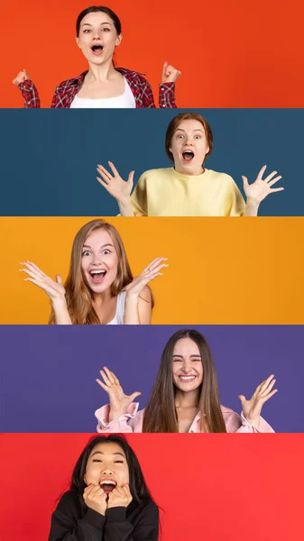 Collage di giovani donne etnicamente diverse isolate su sfondo multicolore. Eccitazione e felicità — Foto Stock