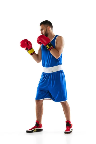 Puños fuertes. Retrato vertical de larga duración de boxeador profesional en entrenamiento uniforme azul aislado sobre fondo blanco — Foto de Stock