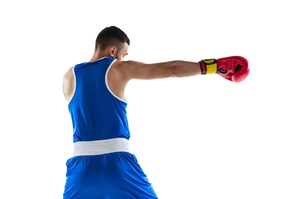 Retrato recortado de boxeador profesional en entrenamiento uniforme azul aislado sobre fondo blanco. Vista trasera — Foto de Stock
