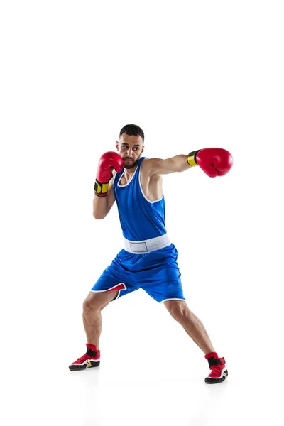 Um boxeador profissional em formação uniforme azul isolado sobre fundo branco. — Fotografia de Stock