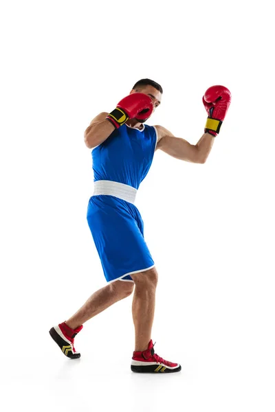 Full-délka portrét jednoho profesionálního boxera v modré uniformě trénink izolované přes bílé pozadí — Stock fotografie