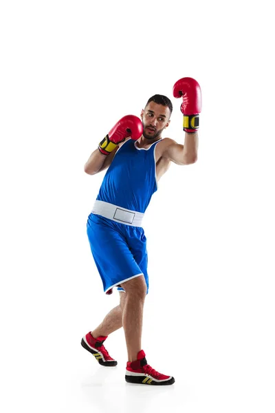 Portrét jednoho profesionálního boxera v modré uniformě trénink izolovaný nad bílým pozadím. První kolo — Stock fotografie