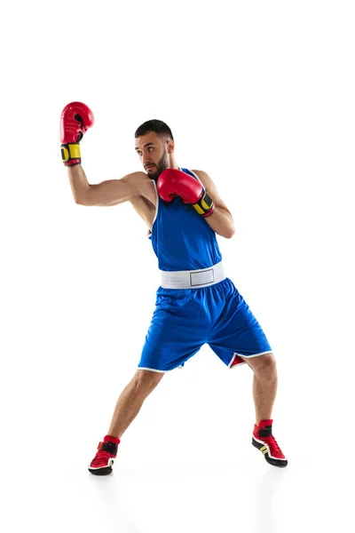 Portret van een professionele bokser in handschoenen training, oefening geïsoleerd over witte achtergrond — Stockfoto