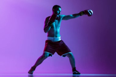 Kırmızı üniformalı profesyonel bir boksörün tam boy portresi. Mor arka planda, neon ışıkta izole edilmiş. Düz yumruk hareketi