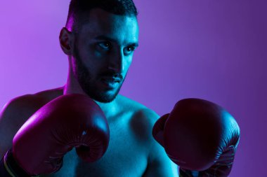 Bir profesyonel erkek boksör eğitimi, mor arka plan üzerinde izole edilmiş, neon ışıkta. Yumruk. Resmi kapat.