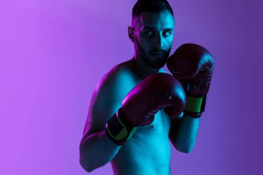 İlk raunt dövüşü. Bir profesyonel erkek boksör eğitimi, mor arka plan üzerinde izole edilmiş, neon ışıkta. Yumruk