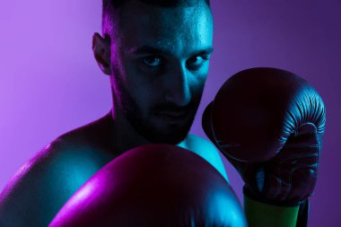 Bir profesyonel erkek boksör eğitimi, mor arka plan üzerinde izole edilmiş, neon ışıkta. Yumruk