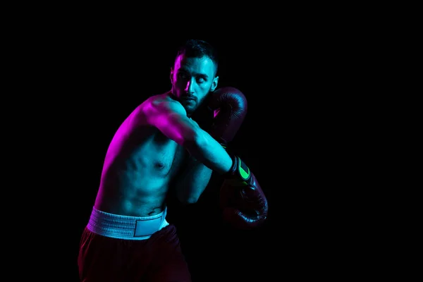 En professionell manlig boxare utbildning isolerad över svart bakgrund i neonljus. Slå ut motståndaren — Stockfoto