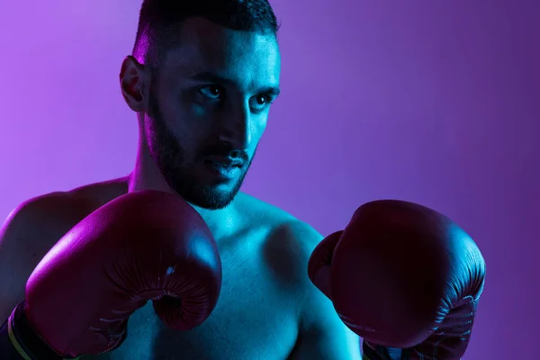 En professionell manlig boxare utbildning isolerad över lila bakgrund i neonljus. Slagsmål. Närbild — Stockfoto