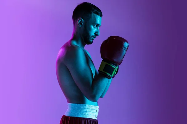 Sidovy porträtt av en professionell boxare hålla händerna tillsammans träning isolerad över lila bakgrund i neon ljus. — Stockfoto