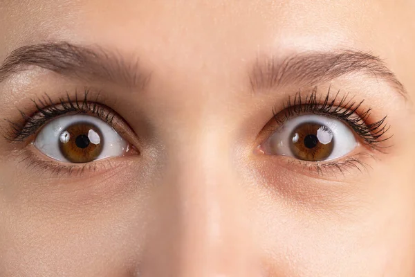 Nahaufnahme beschnittenes Bild schöner weiblicher brauner Augen, die unterschiedliche Emotionen zeigen. Schockierte große Augen. — Stockfoto