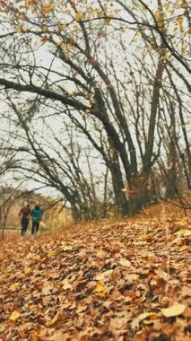Runners navigating forest trail during endurance training. Concept of adventure fitness marketing, outdoor coaching programs, active travel promotion, sports lifestyle branding.