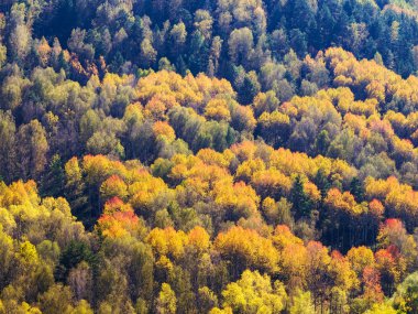 Dağlarda Sonbahar Doğa