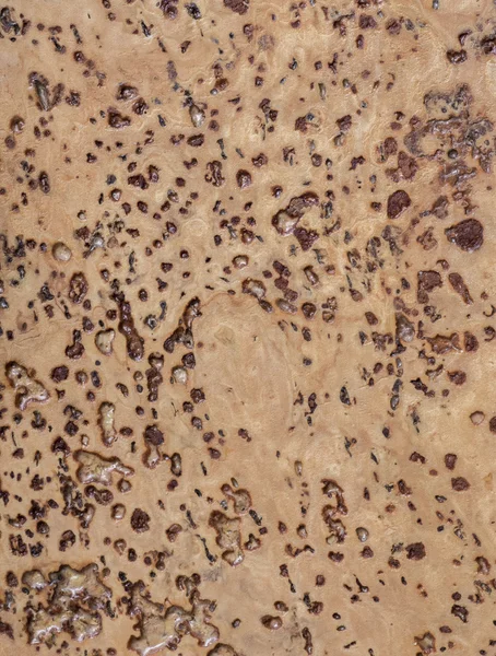 mantar doku arka plan