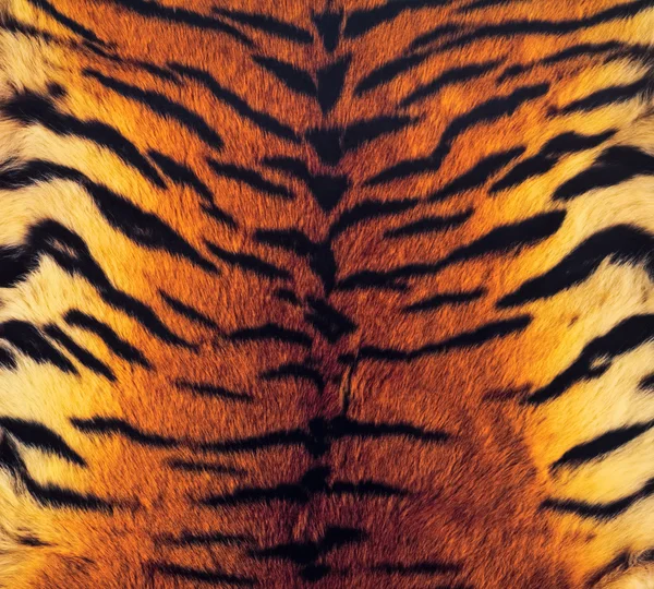 Kaplan'ın deri arka plan