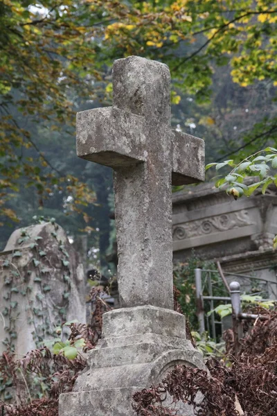 Una Croce Pietra Nel Vecchio Cimitero Tra Gli Alberi — Foto Stock