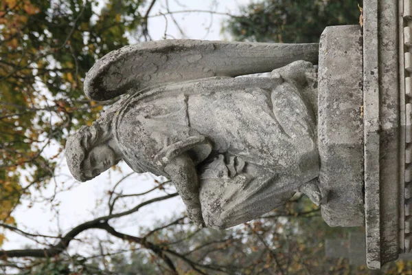 Ängel Staty Skulptur Monument Graven — Stockfoto