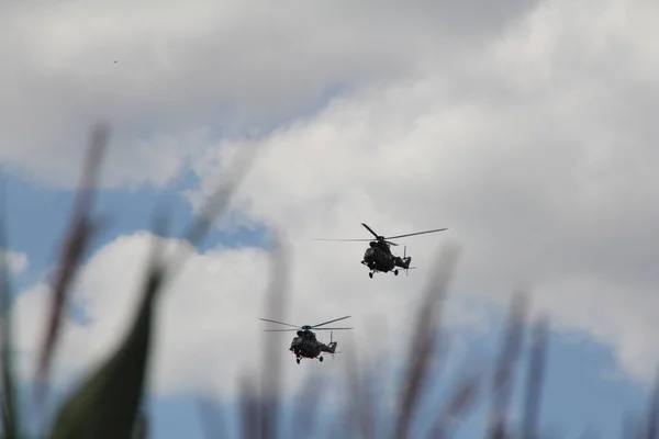 two helicopters flying through the grass leaves