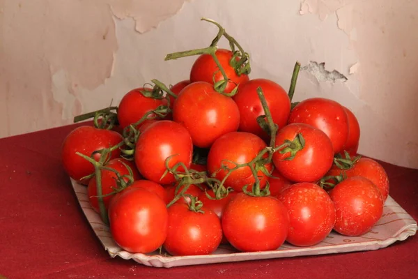 Ett Gäng Röda Tomater Bricka Röda Saftiga Tomater Med Kvistar — Stockfoto