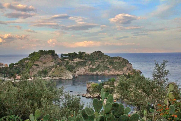 Rochas Que Saem Mar Costa Mar Jónico Cacto Árvores Nas — Fotografia de Stock